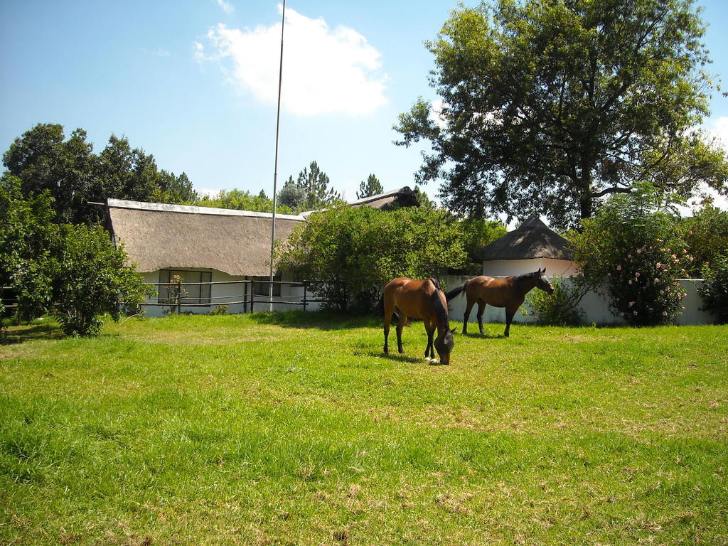 Pine Tree Lodge Midrand Exterior foto